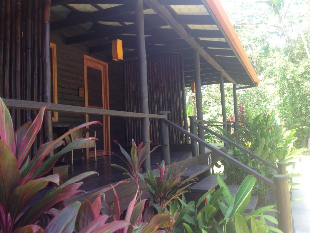 Island Plantation (Adults Only) Hotel La Gruta Phòng bức ảnh
