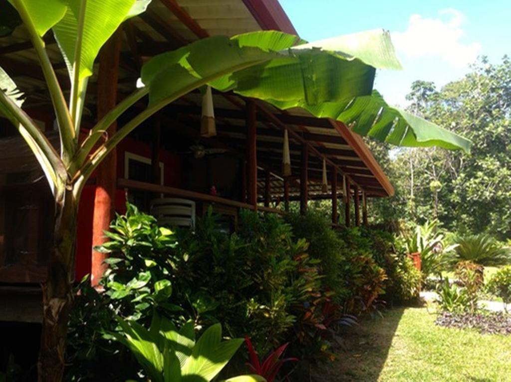 Island Plantation (Adults Only) Hotel La Gruta Ngoại thất bức ảnh