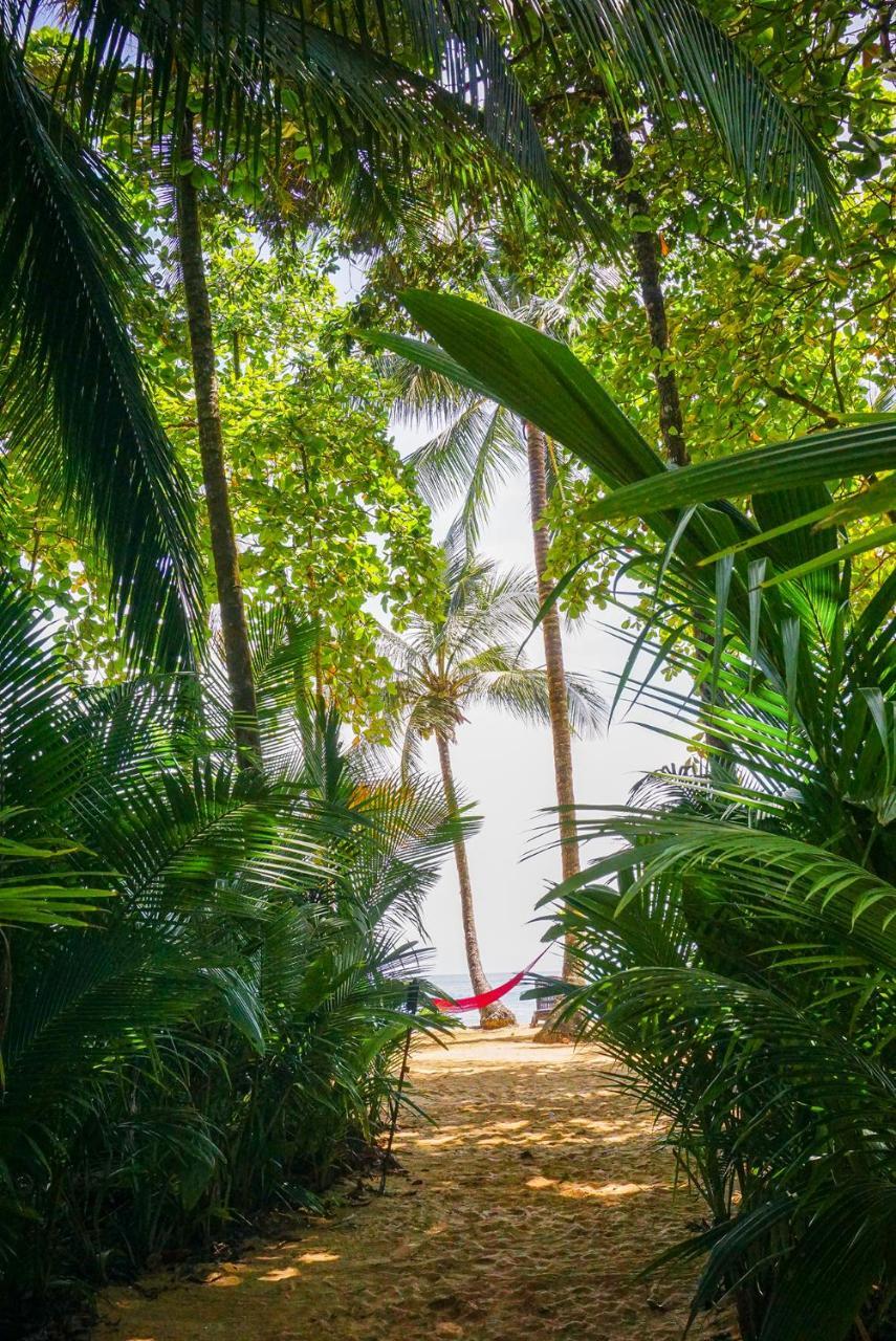 Island Plantation (Adults Only) Hotel La Gruta Ngoại thất bức ảnh